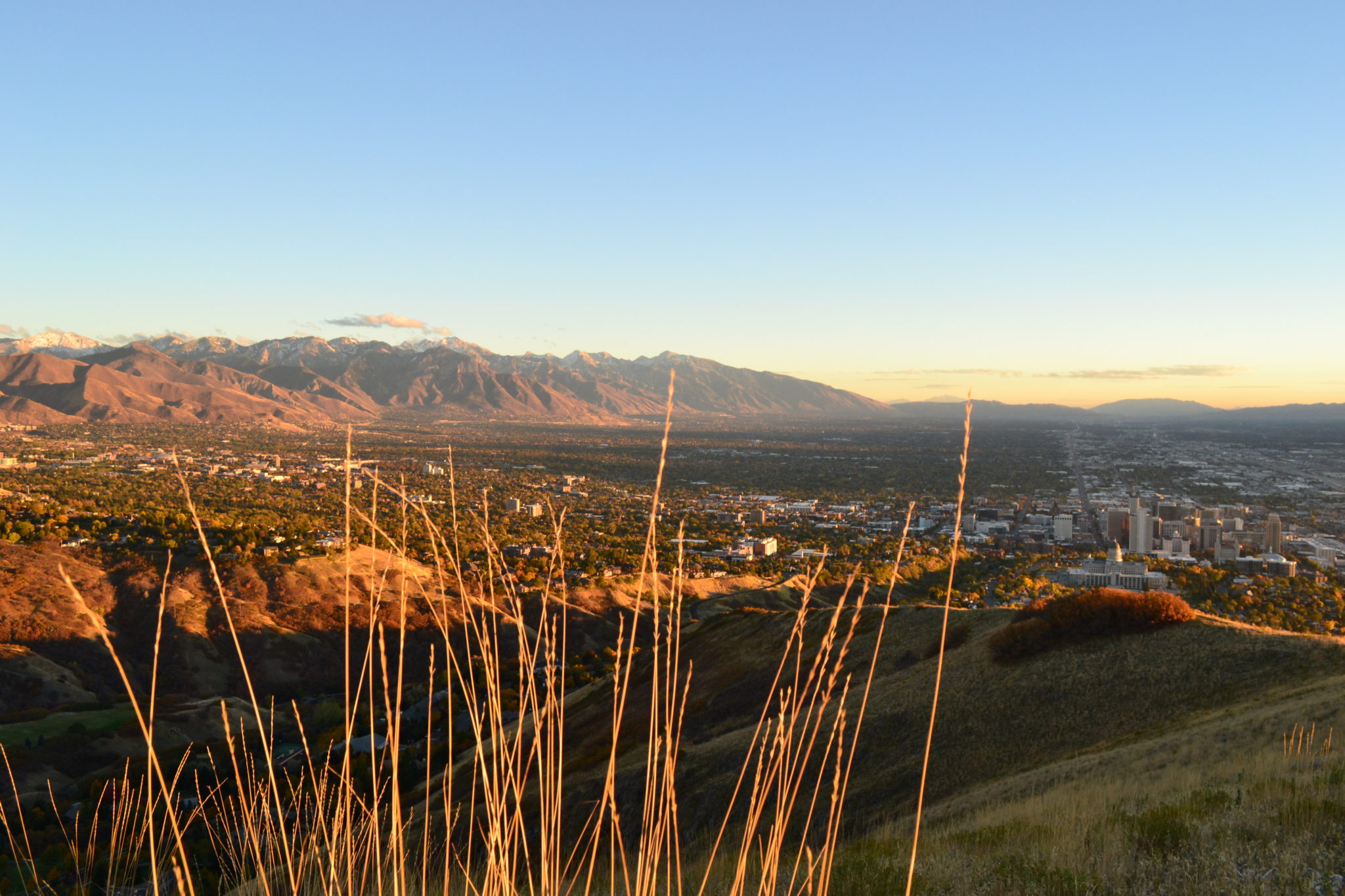 Featured image for “Utah’s Long-Term Demographic and Economic Projections”